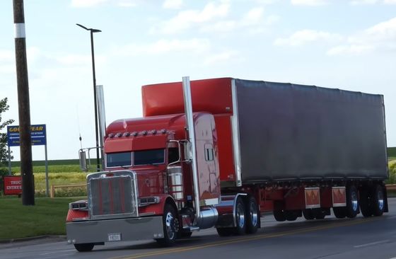 Schnelle Antwort Weltweite Logistik Lkw DDP Seeschifffahrt Agent Tür zu Tür Service