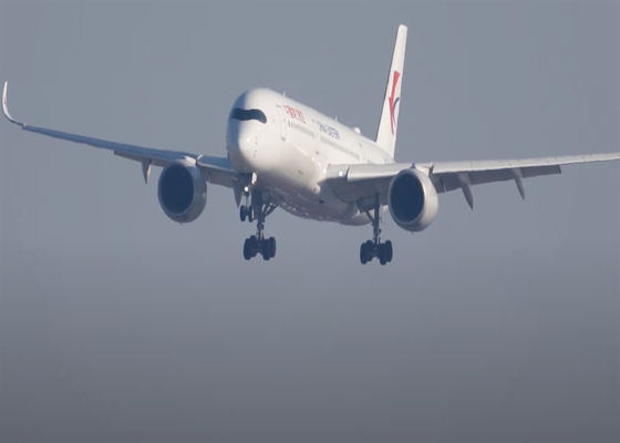 Zuverlässige DDP Luftfracht Überseefracht Internationale Logistik