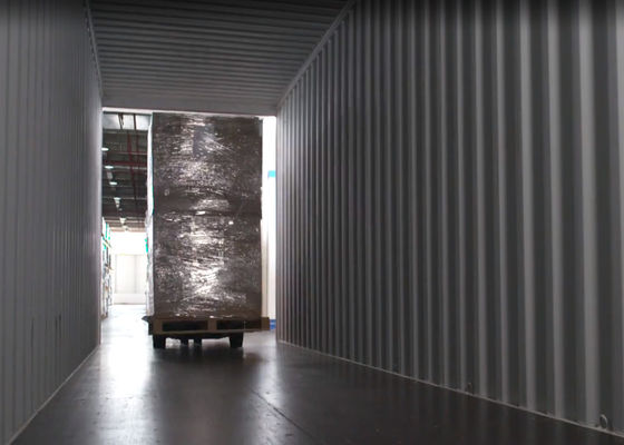 Port to Port PTP Internationale Seefracht von China nach Kanada Lieferung FCL-Container