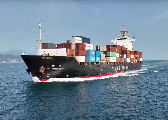 Port to Port PTP Internationale Seefracht von China nach Kanada Lieferung FCL-Container