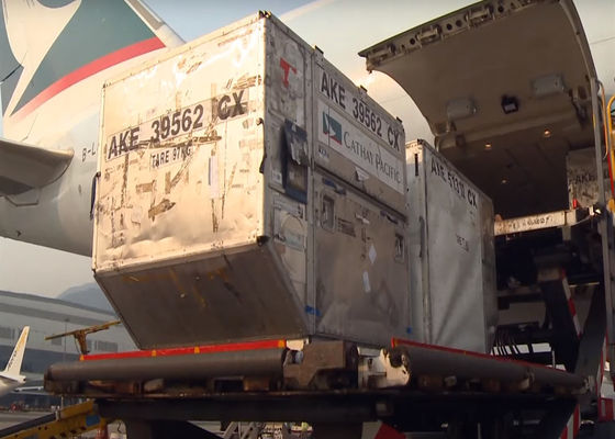 Guangzhou zu weltweiter Globaler Seefracht FCL Vollcontainertransport